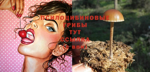 амф Арсеньев