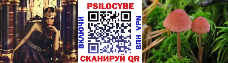 Псилоцибиновые грибы GOLDEN TEACHER  Купить закладки  Малая Вишера 