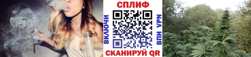 Шишки марихуана OG Kush  Купить где  Малая Вишера 